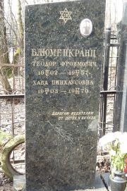 Блюменкранц Теодор Фроимович, Москва, Востряковское кладбище